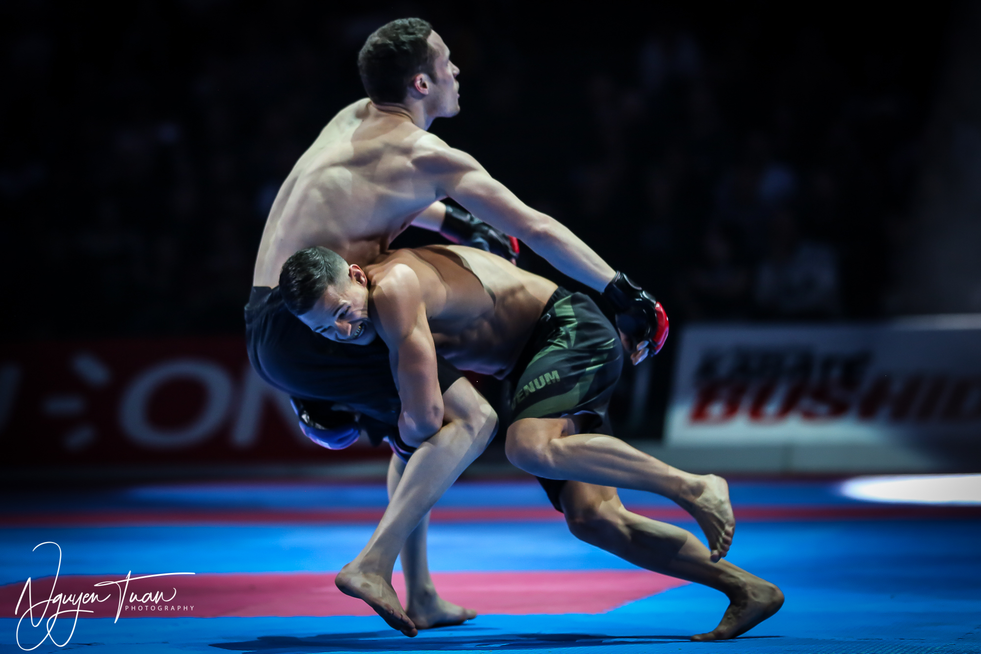 20190324 Festival des Arts Martiaux 5186